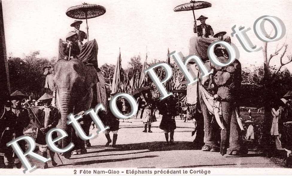 Elephants precedant le cortege, Fete de Nam Giao