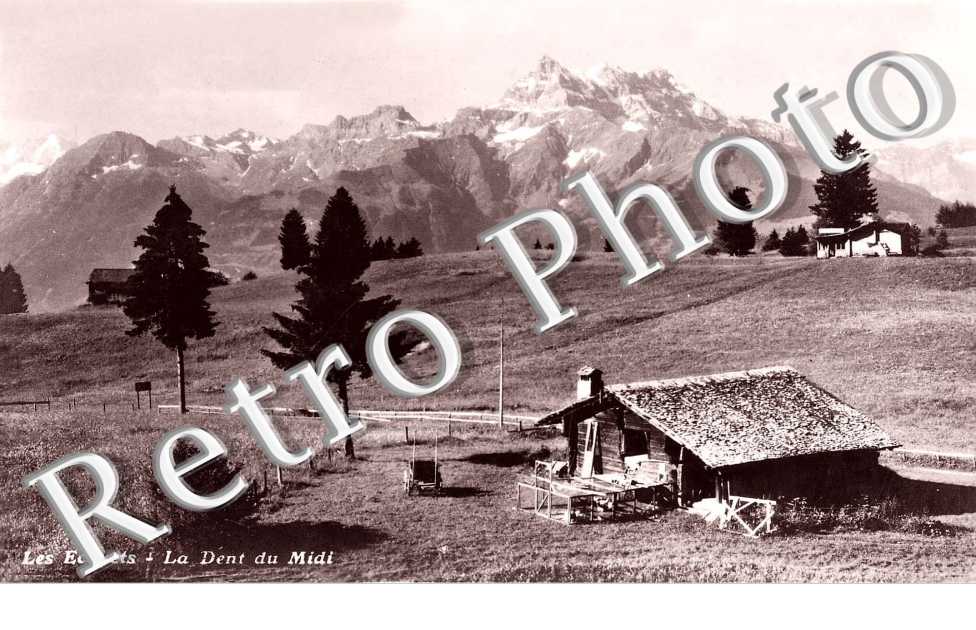 Les Ecovets  La dent du Midi