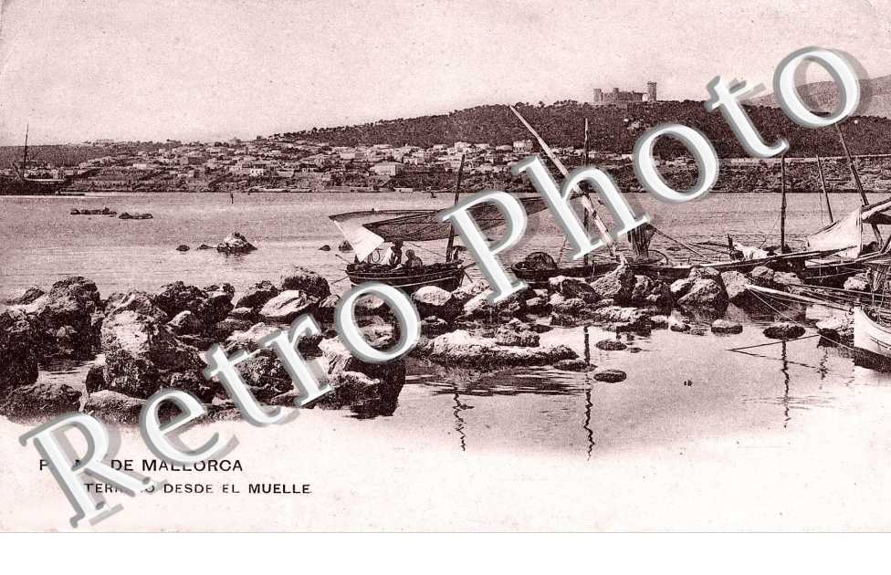 terreno desde el muelle