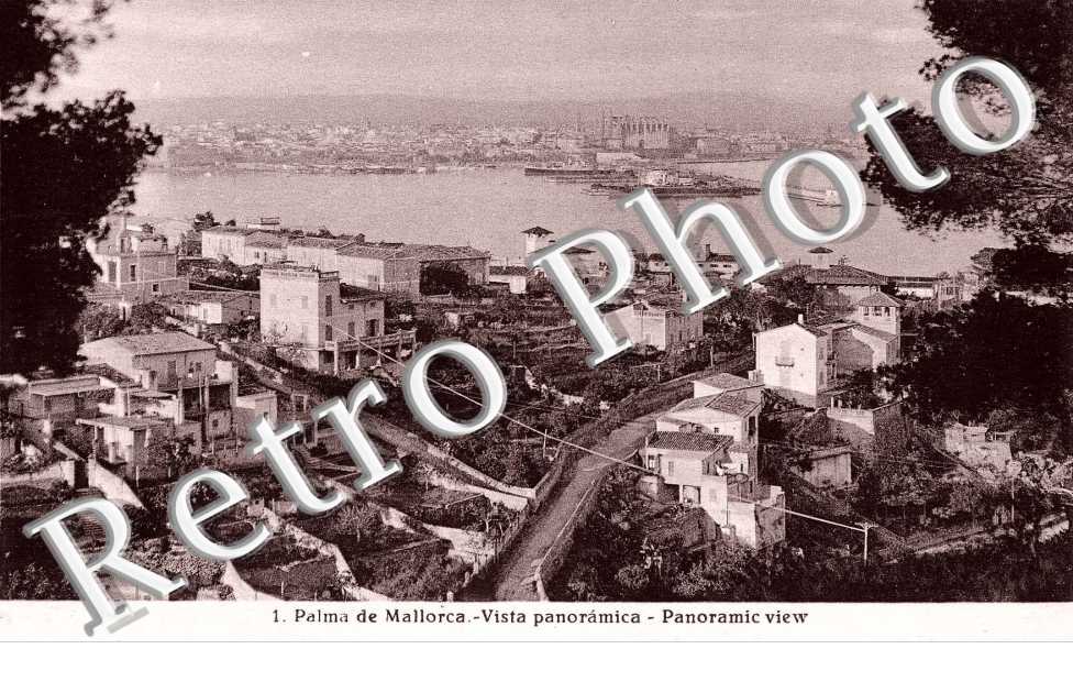 vista panoramica