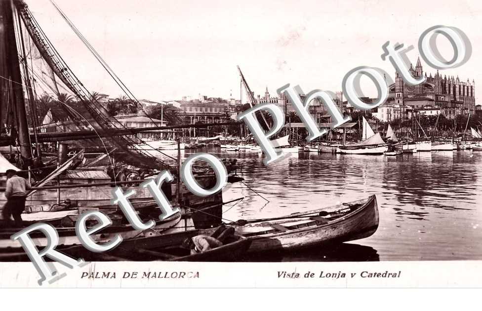 vista de lonja y catedral