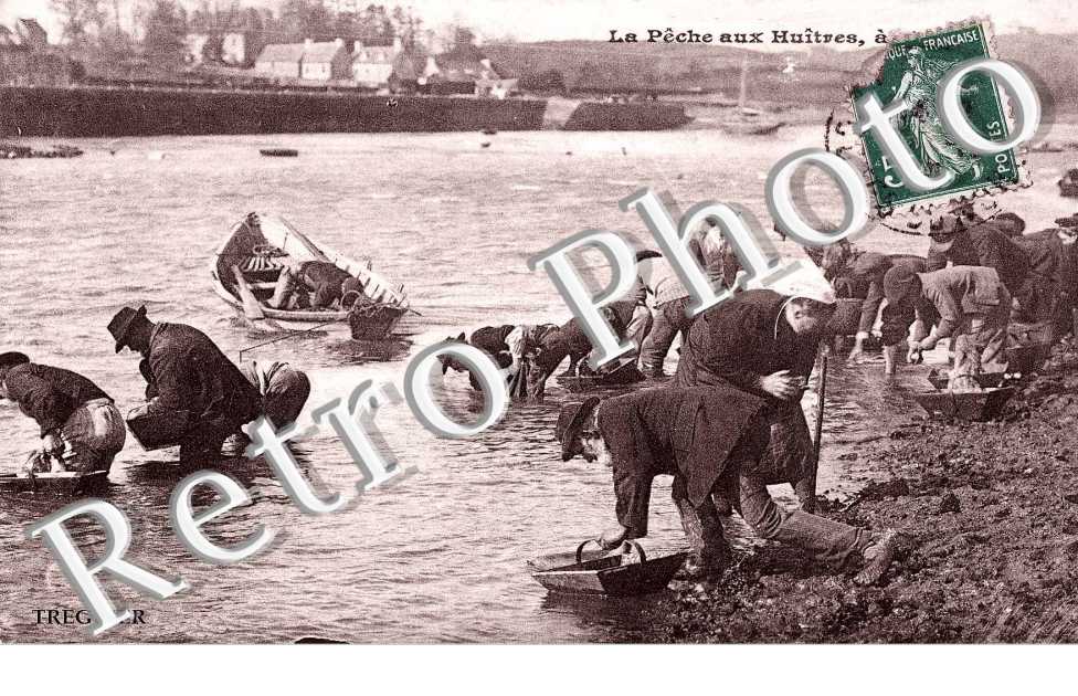 la peche aux huitres