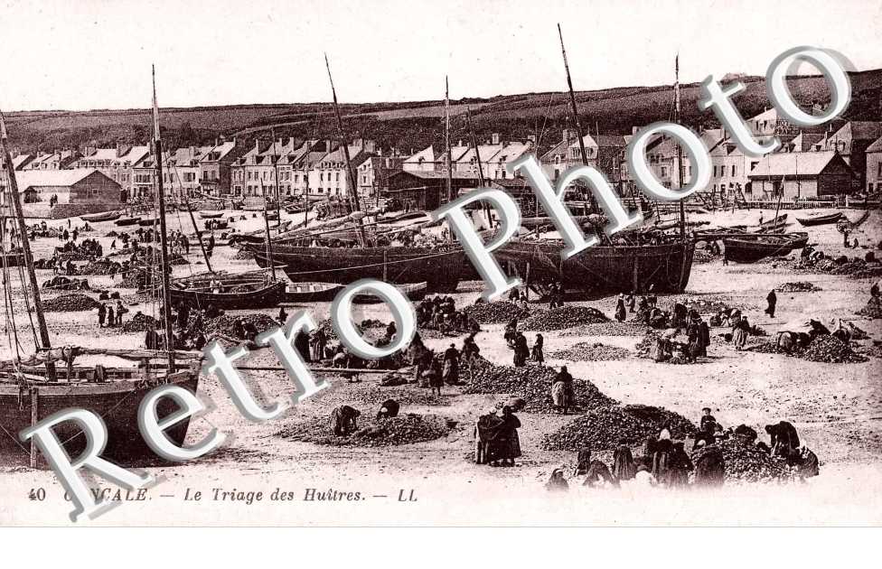Le Triage des huitres