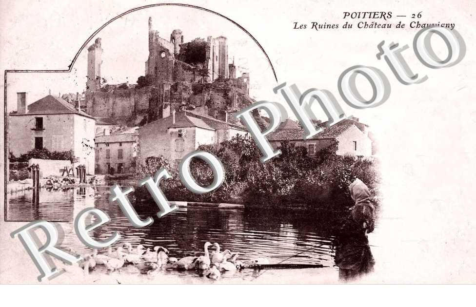 les ruines du chateau
