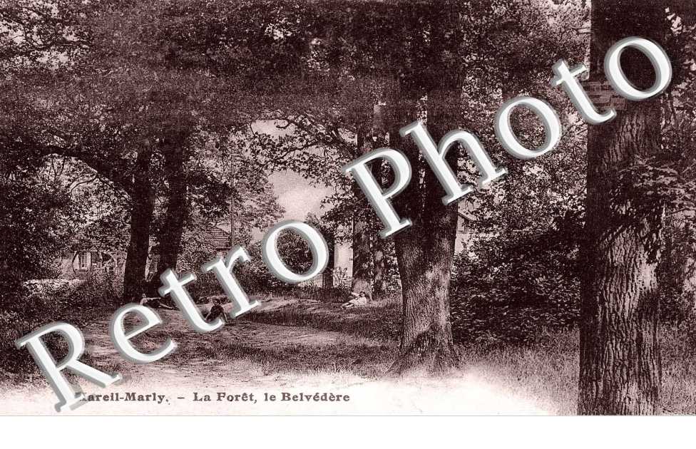 La Foret, le Belvedere