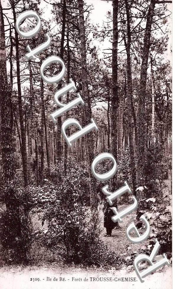 La foret