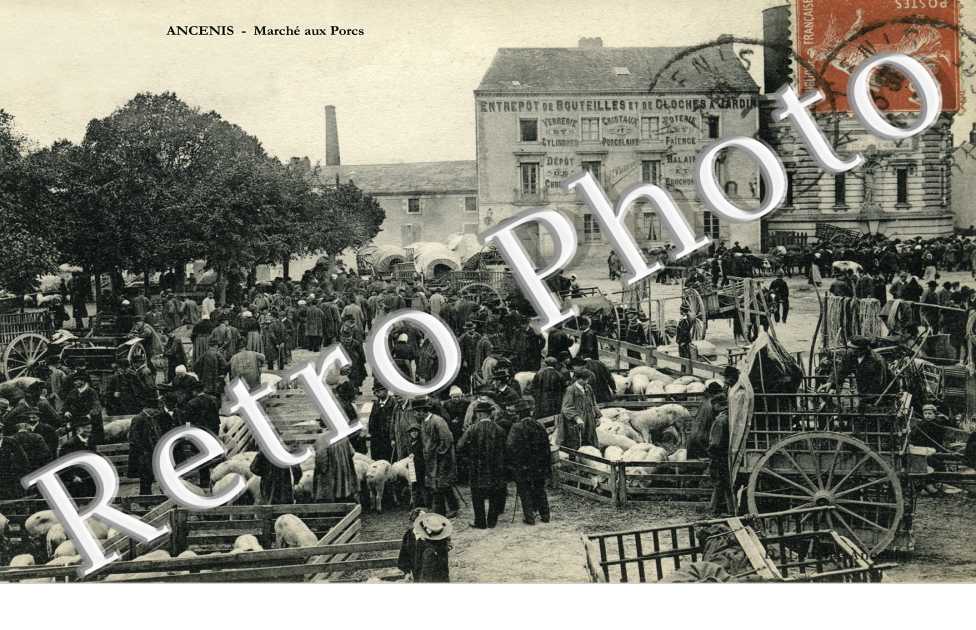 marche aux porcs