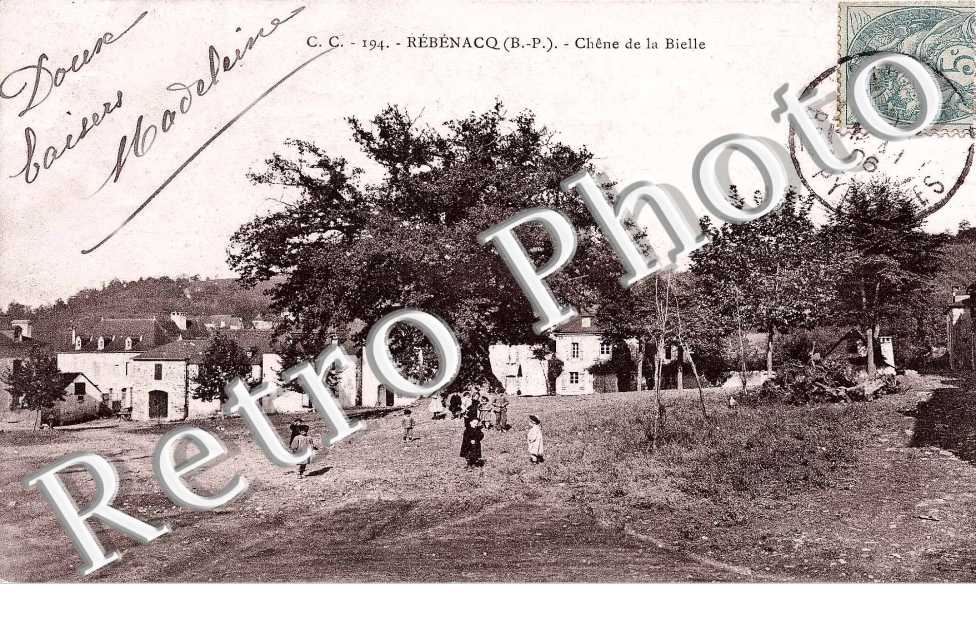 chene de la Bielle