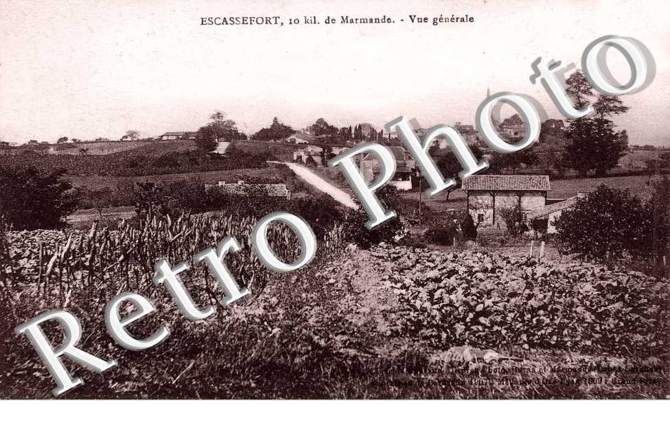 Vue generale