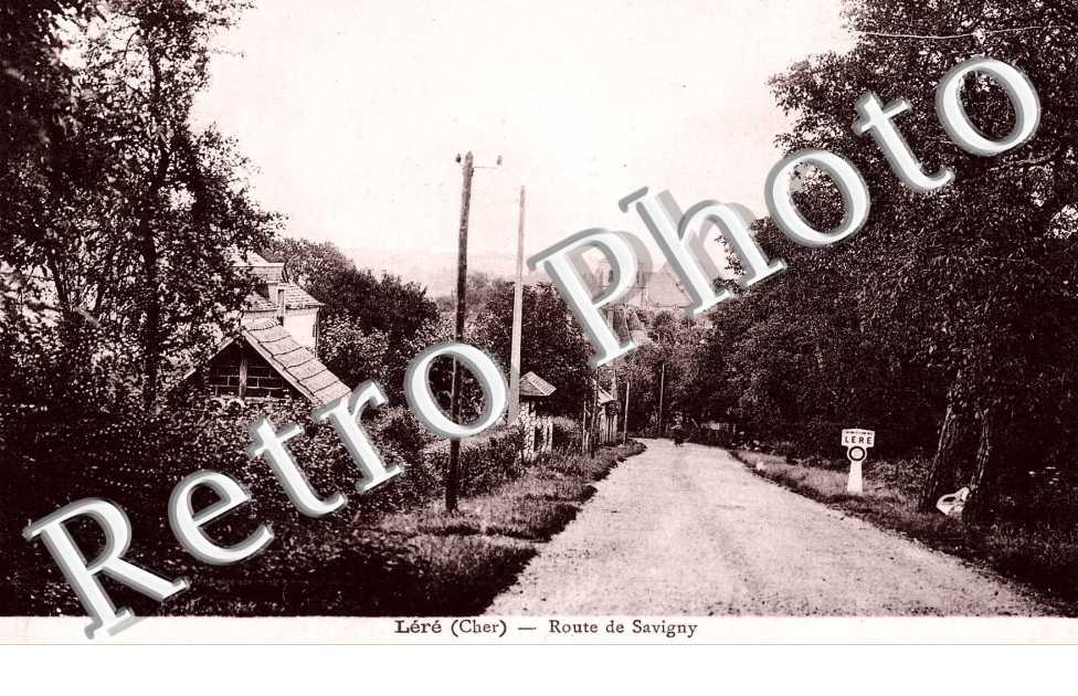 Rute de Savigny