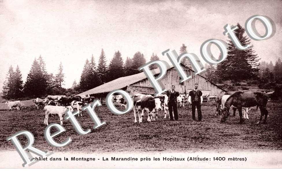 un chalet dans la montagne - La Marandine pres les Hopitaux (altitude 1400 metres)