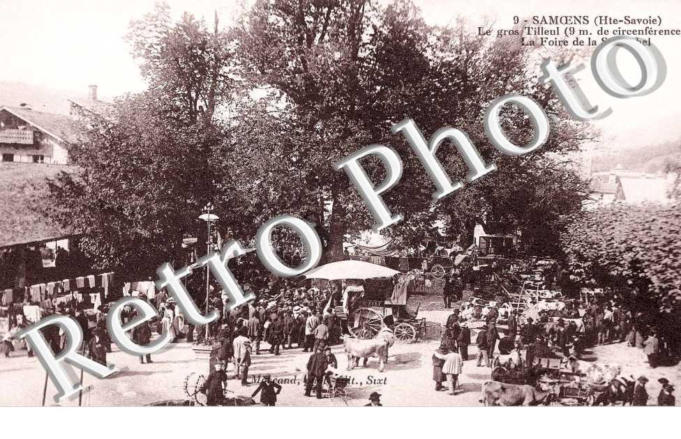 LE GROS TILLEUL LA FOIRE DE ST MICHEL