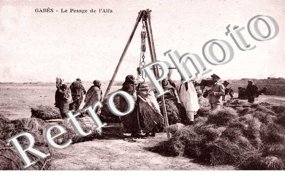 Le pesage de l'alfa