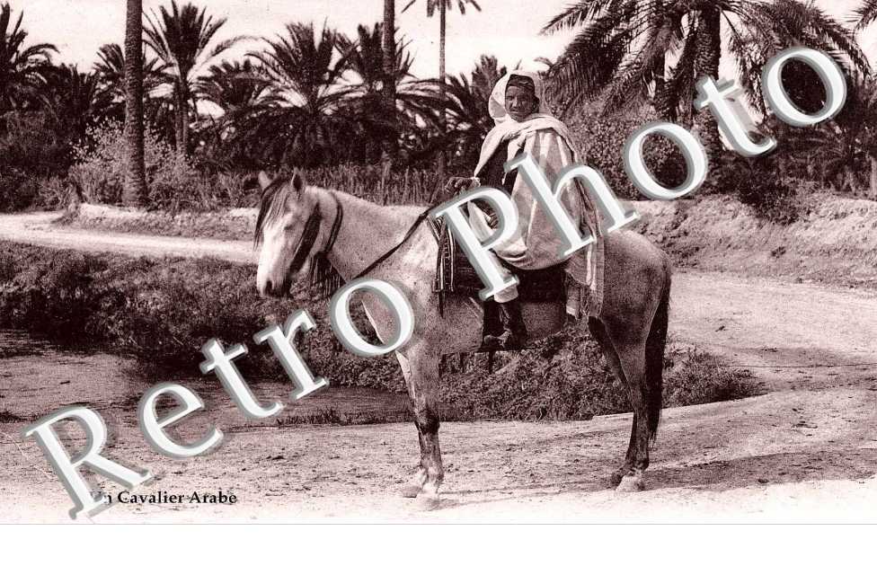 Un cavalier arabe