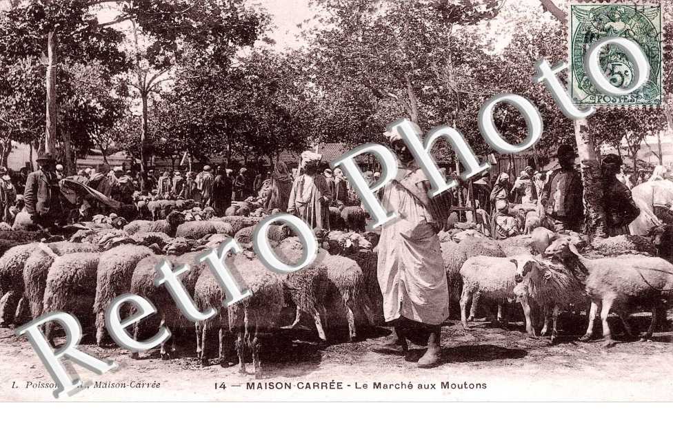le marché aux Moutons
