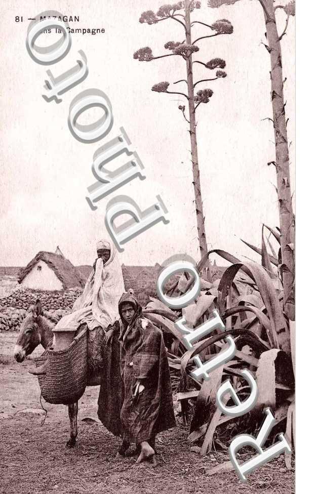 dans la campagne