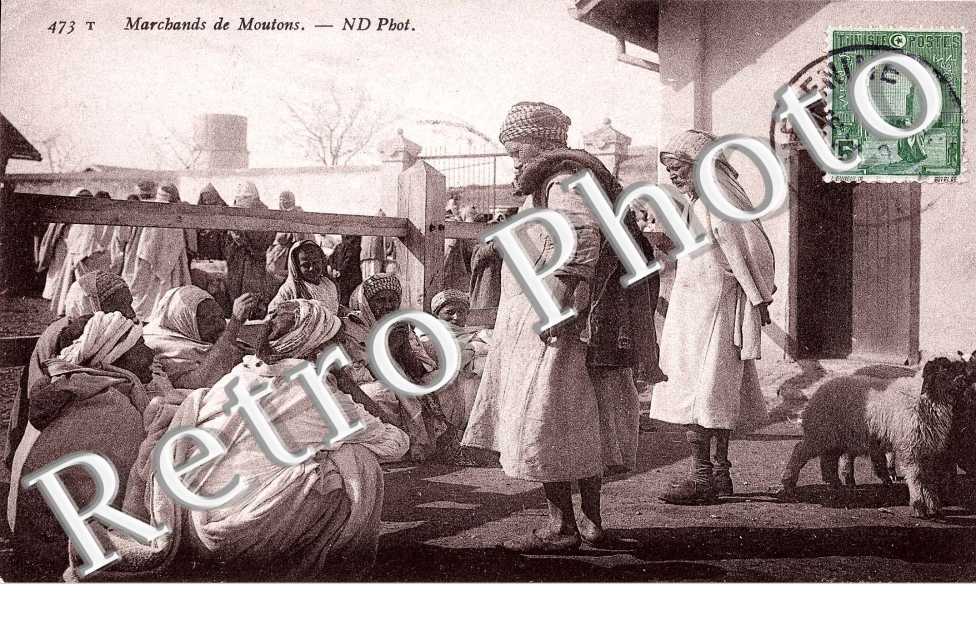 Marchand de moutons