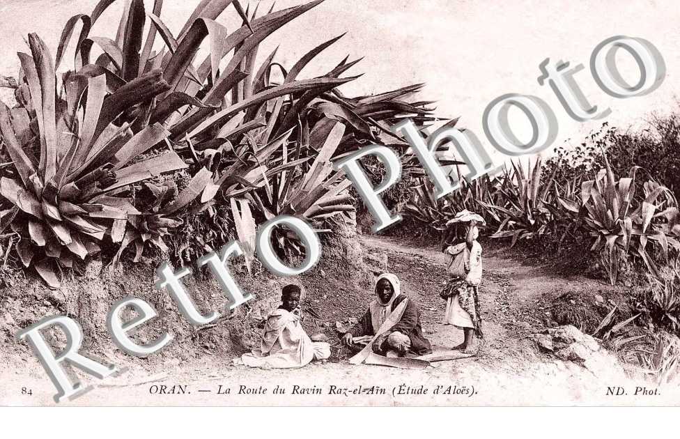 la route du ravin Raz-el-Ain