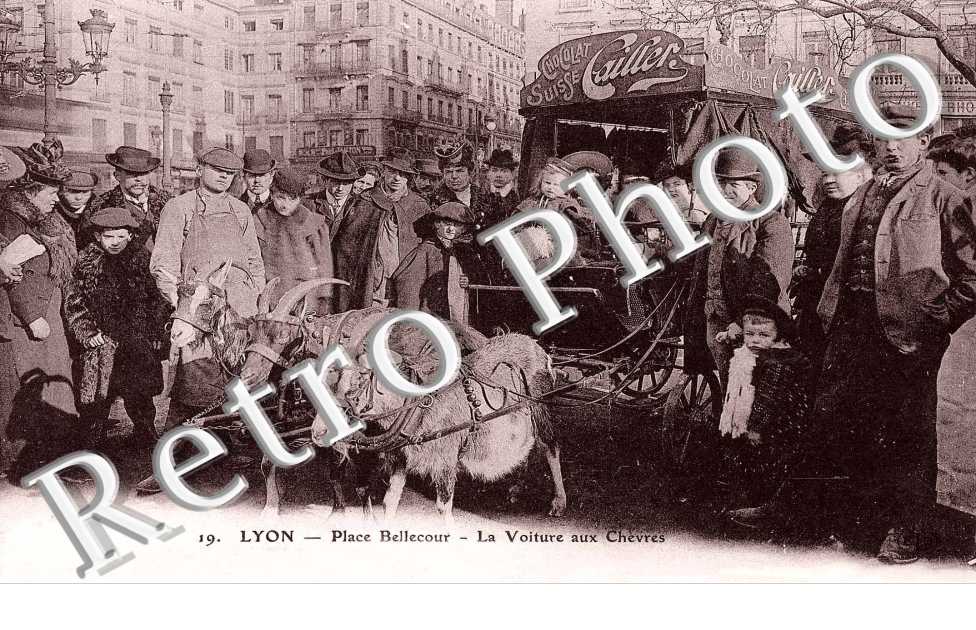 Place Bellecour - La voiture aux chevres  - attelages de chevres