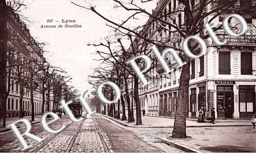 avenue de Noailles