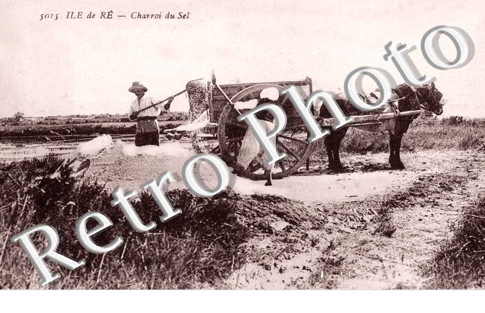 Charroi du sel