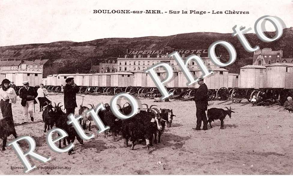 Sur la plage Les chevres