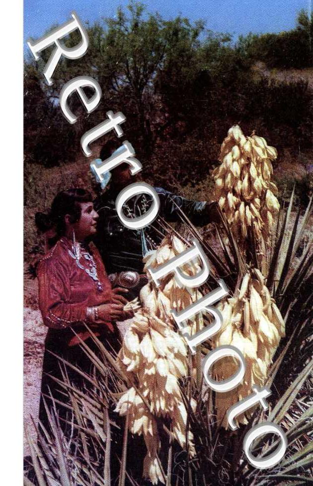 Navajo and yucca