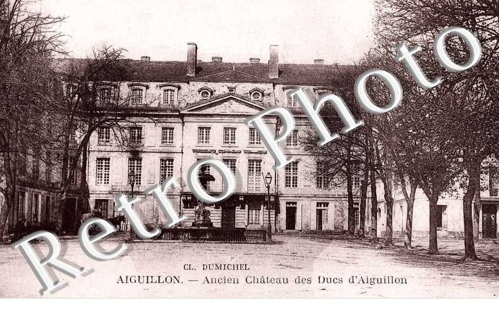 Ancien Chateau des Ducs