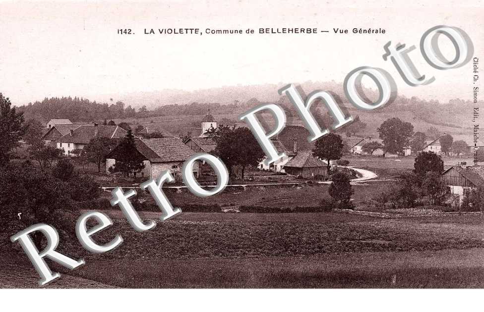 La Violette, Vue generale