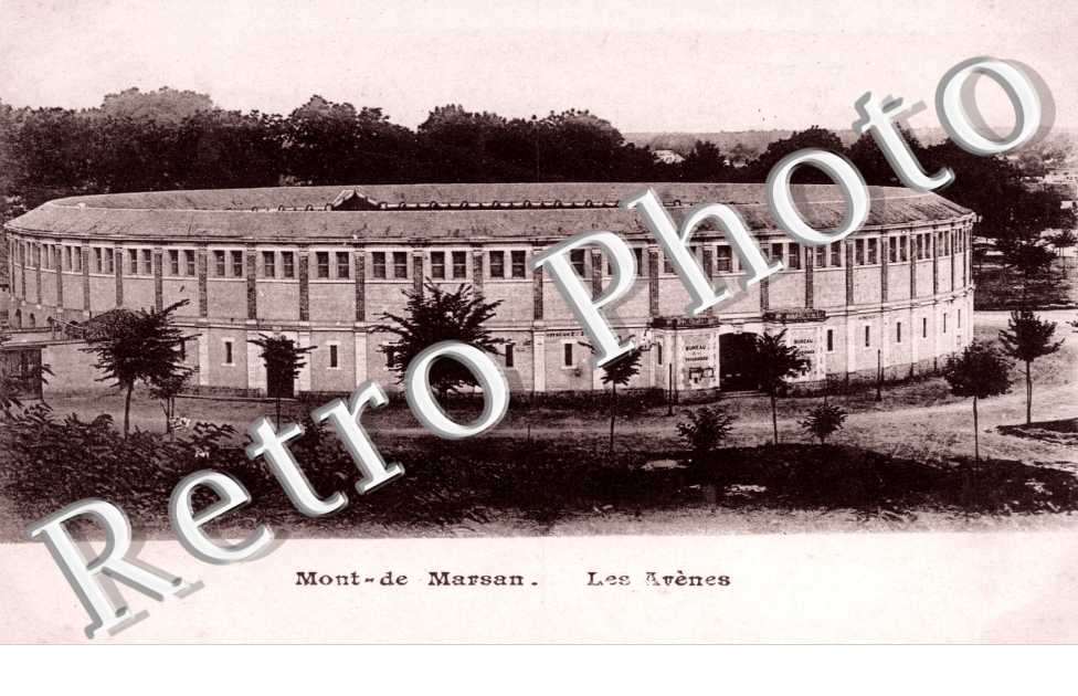 les Arenes