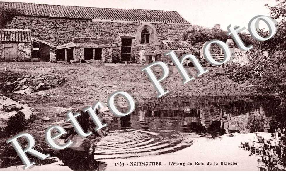 L'Etang du bois de la Blanche