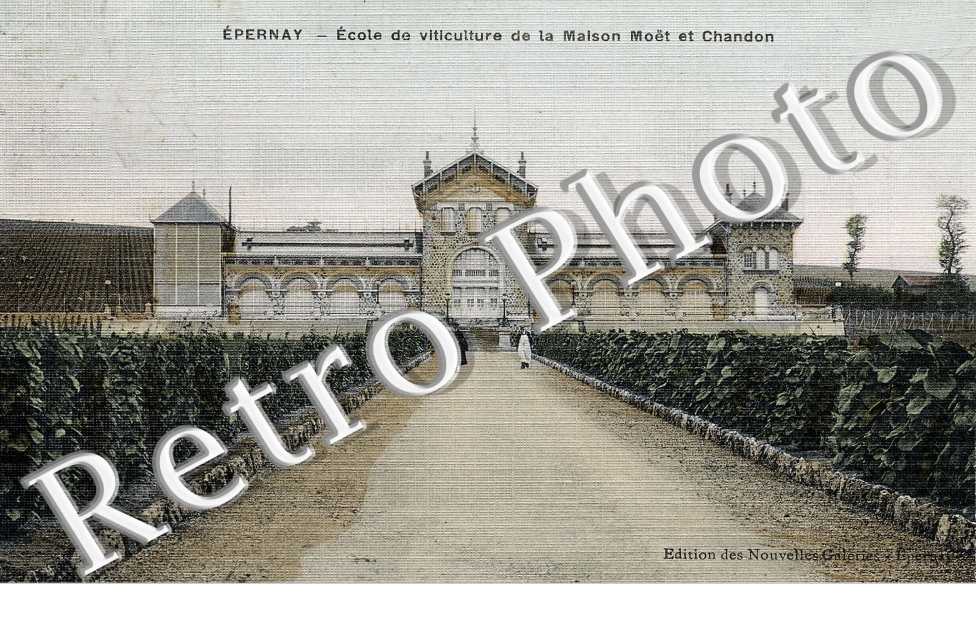 Ecole de viticulture de la maison Moët et Chandon