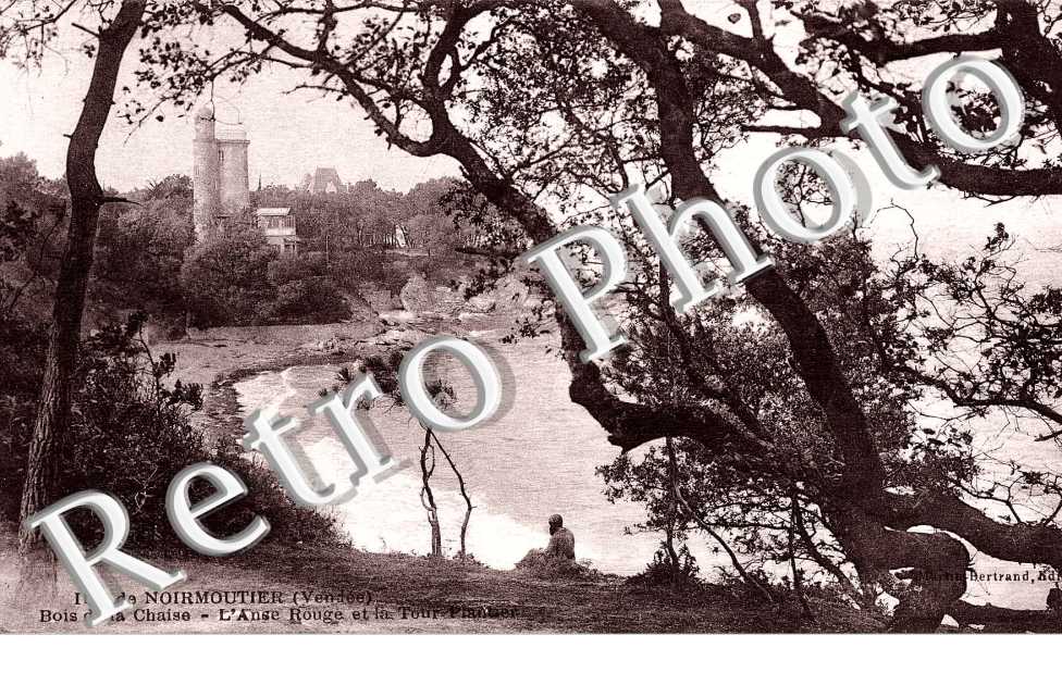 Bois de la Chaise L&#039;anse rouge et la tour Plantier