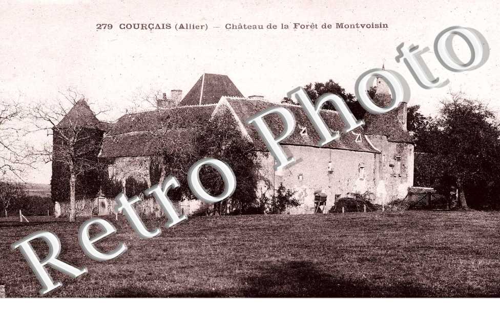 Chateau de la Foret de Montvoisin