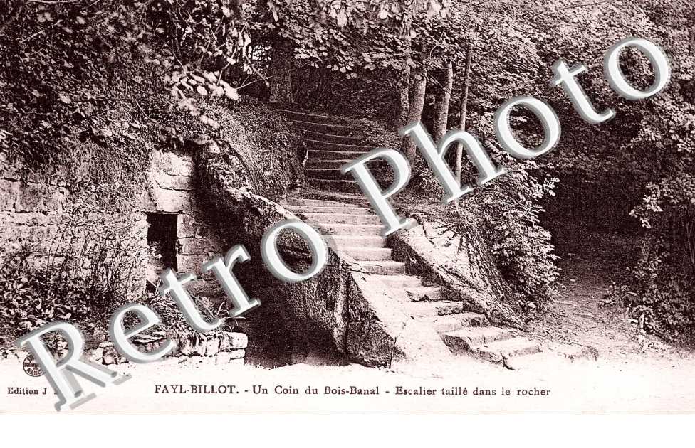 Un coin du Bois-Canal