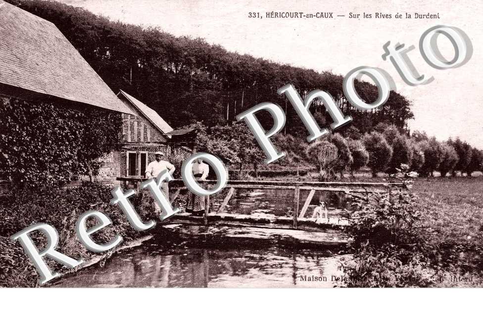 Sur les rives de la Durdent