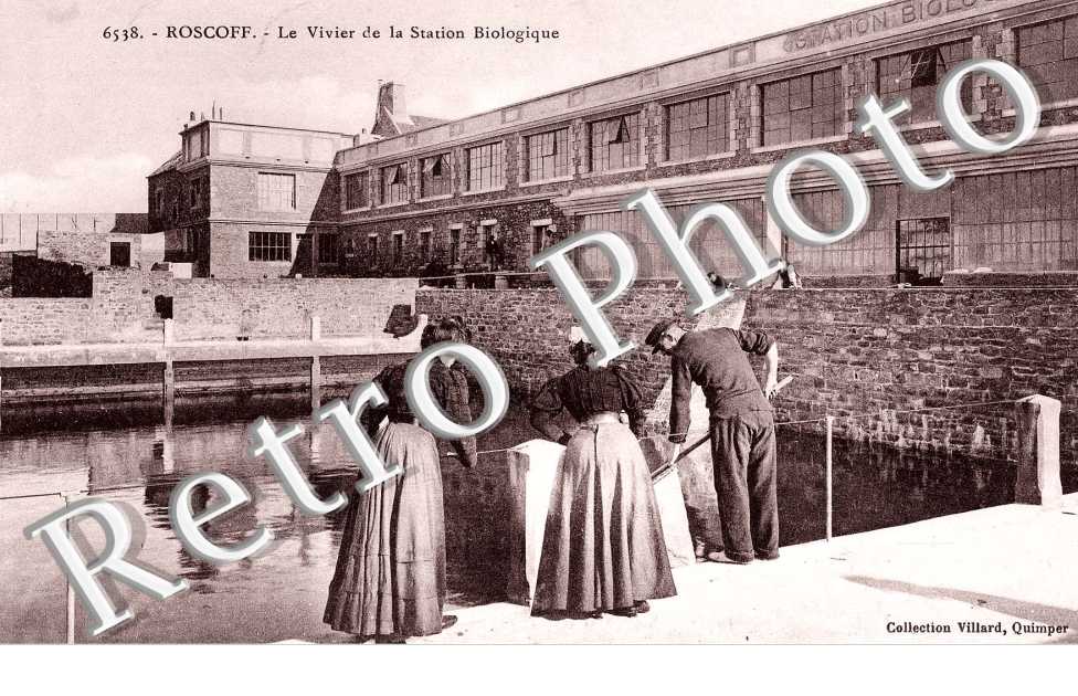 le vivier de la station biologique