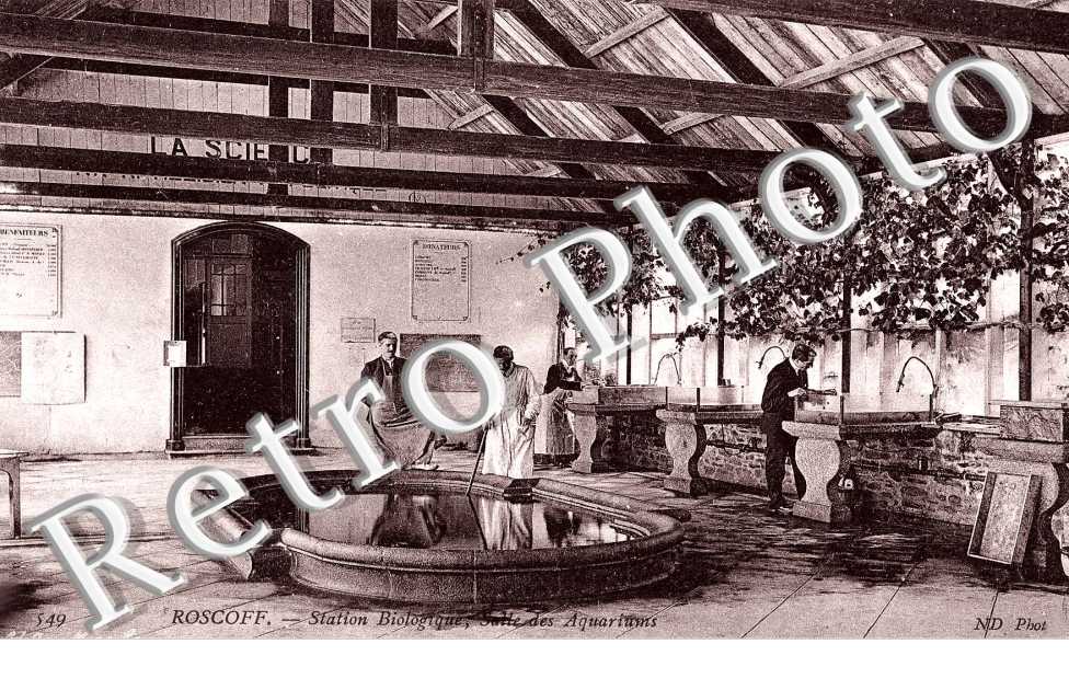 station biologique, salle des aquariums