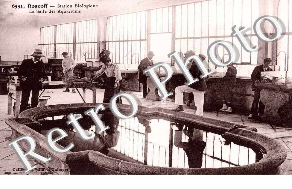 Station biologique la salle des aquariums