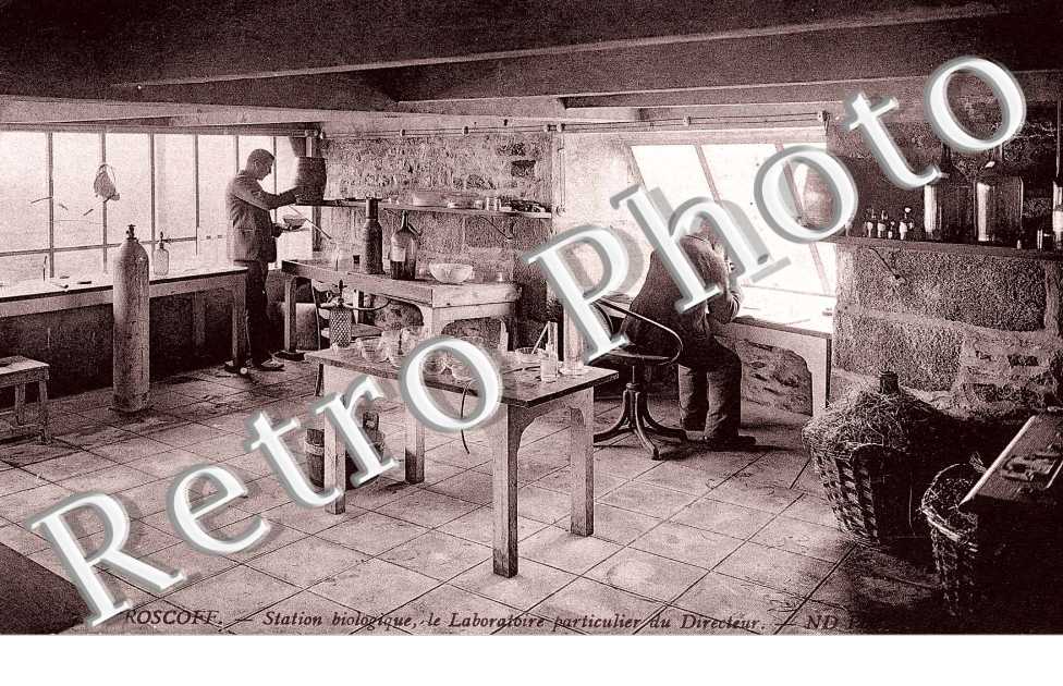 station biologique, le laboratoire particulier du directeur