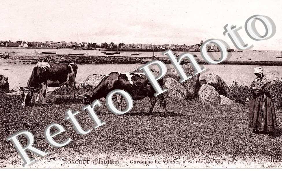 Gardeuse de Vaches à Sainte Barbe