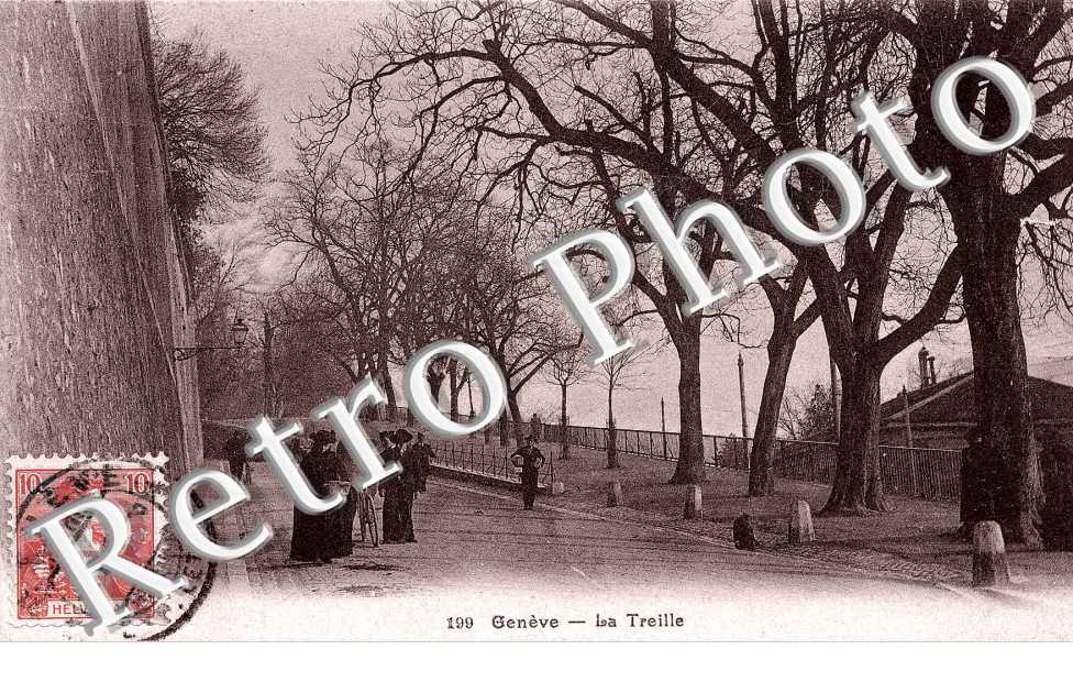 La treille.