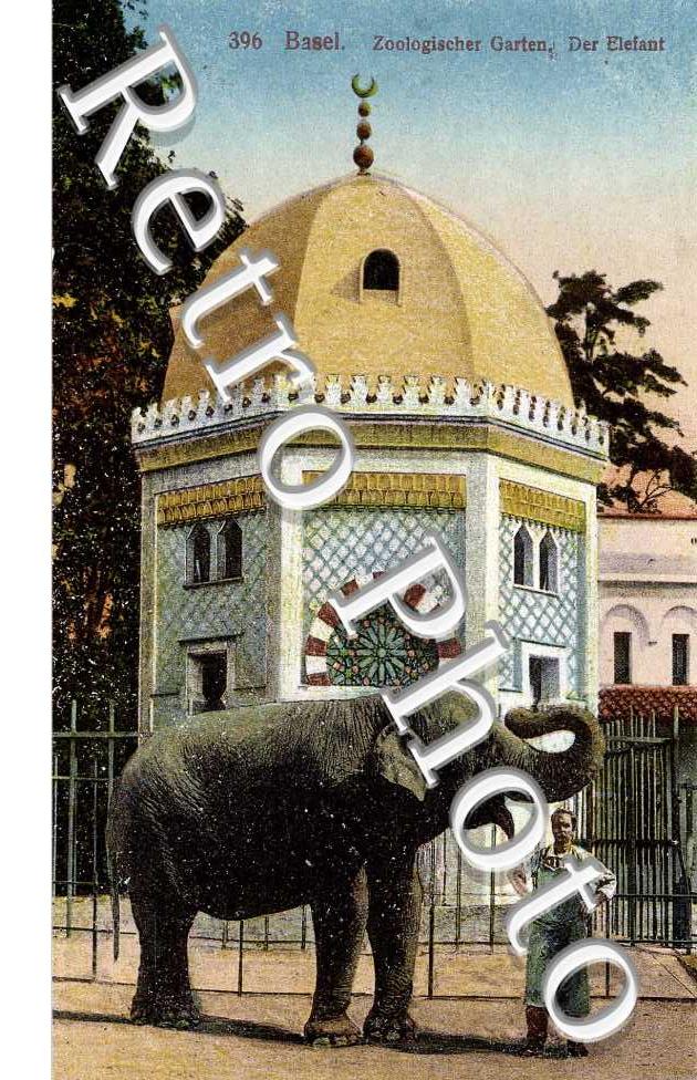 Zoologischer Garten