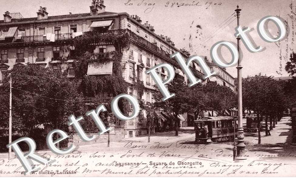 Square Georgette