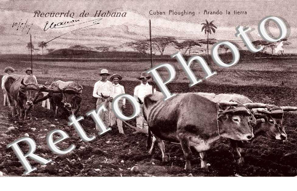 arando la tierra.