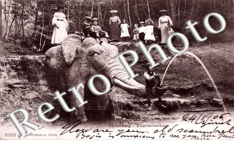 Zuricberg - Elephantenbach