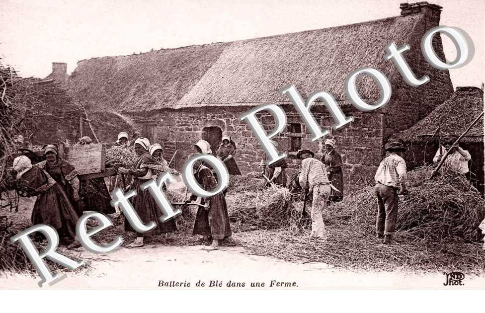 BATTERIE DE BLE DANS UNE FERME