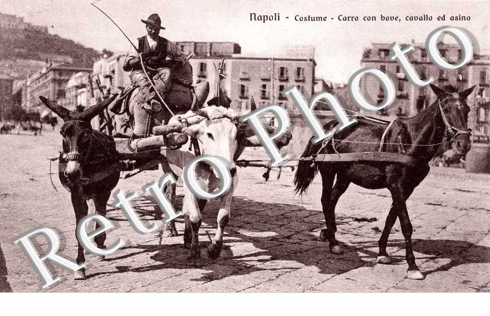 Costume - Carro con bave, cavallo ed asino