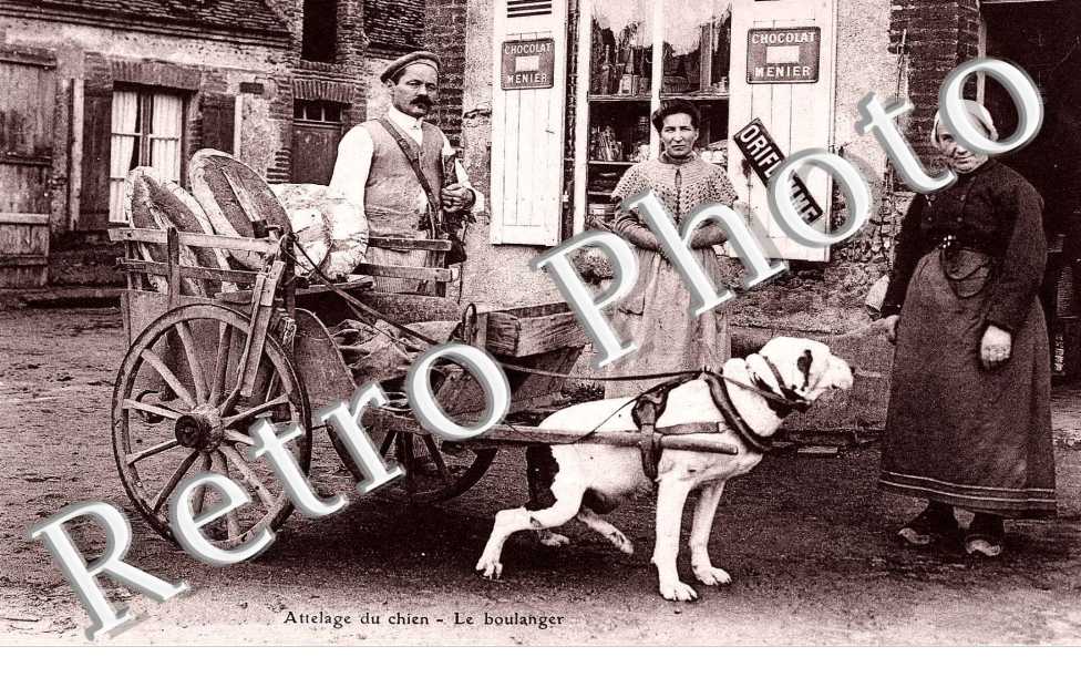 le boulanger