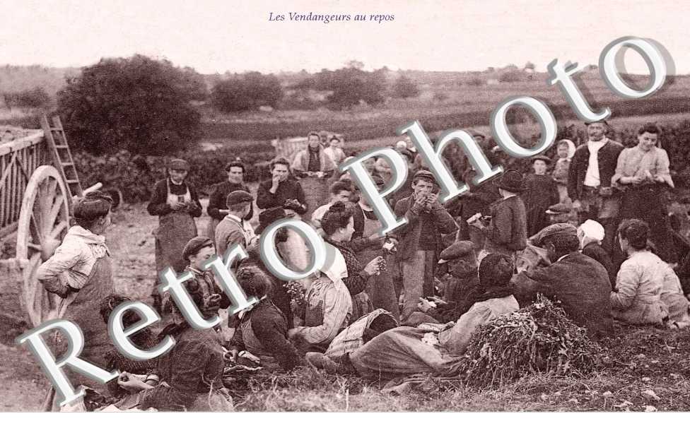 vendangeurs au repos